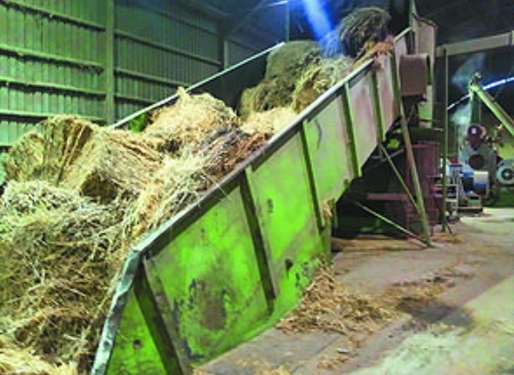 Производство пеллет